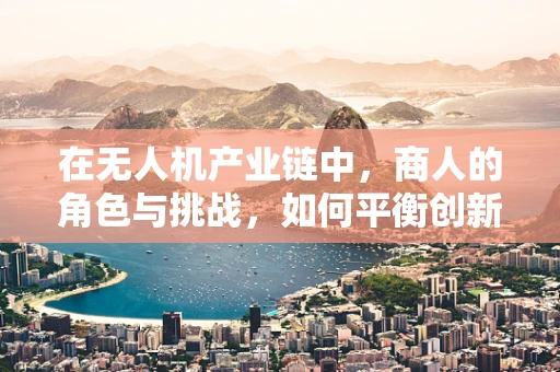 在无人机产业链中，商人的角色与挑战，如何平衡创新与合规？
