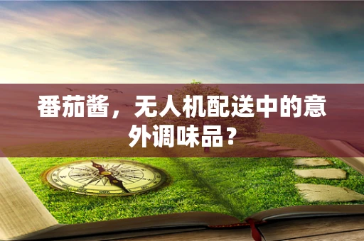番茄酱，无人机配送中的意外调味品？