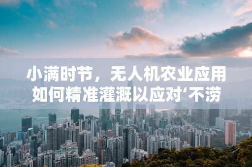 小满时节，无人机农业应用如何精准灌溉以应对‘不涝不旱’的挑战？