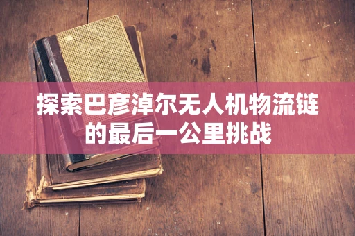 探索巴彦淖尔无人机物流链的最后一公里挑战