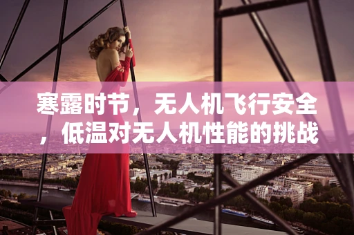 寒露时节，无人机飞行安全，低温对无人机性能的挑战与应对策略