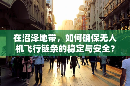 在沼泽地带，如何确保无人机飞行链条的稳定与安全？