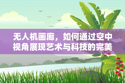 无人机画廊，如何通过空中视角展现艺术与科技的完美融合？