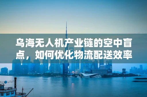 乌海无人机产业链的空中盲点，如何优化物流配送效率？