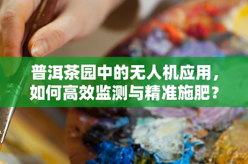 普洱茶园中的无人机应用，如何高效监测与精准施肥？