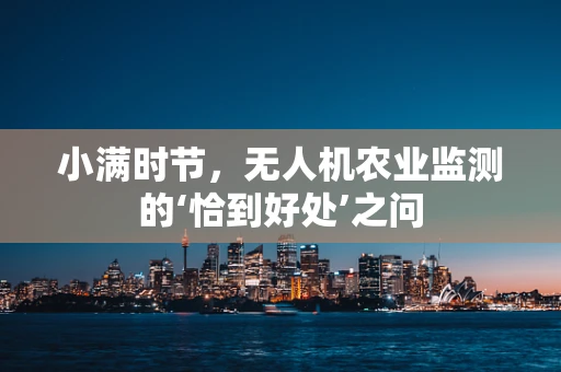 小满时节，无人机农业监测的‘恰到好处’之问