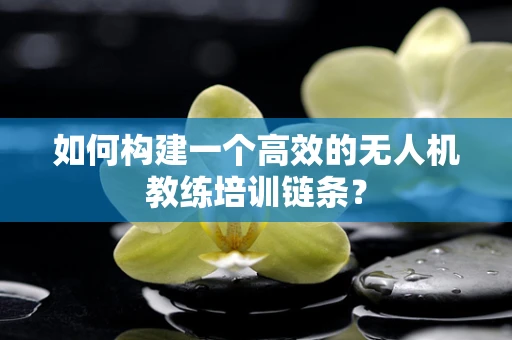 如何构建一个高效的无人机教练培训链条？