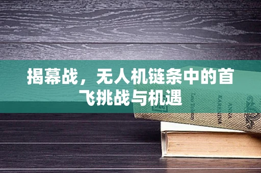 揭幕战，无人机链条中的首飞挑战与机遇