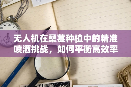 无人机在桑葚种植中的精准喷洒挑战，如何平衡高效率与作物安全？