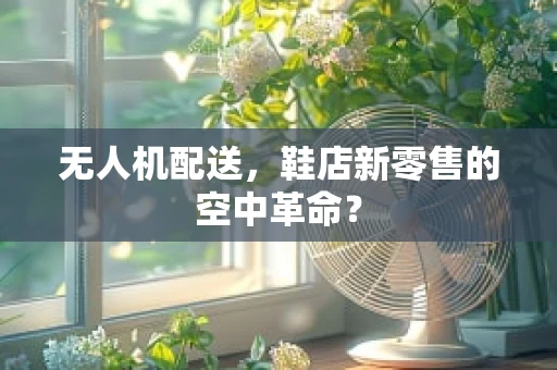 无人机配送，鞋店新零售的空中革命？