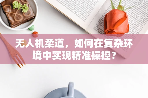无人机柔道，如何在复杂环境中实现精准操控？