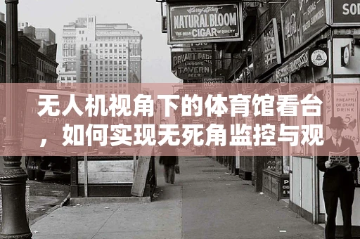 无人机视角下的体育馆看台，如何实现无死角监控与观众体验的平衡？