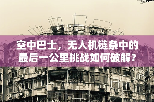 空中巴士，无人机链条中的最后一公里挑战如何破解？