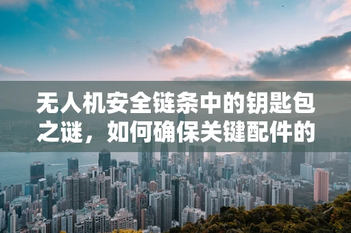 无人机安全链条中的钥匙包之谜，如何确保关键配件的便捷与安全？