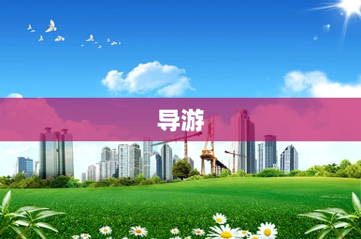 导游