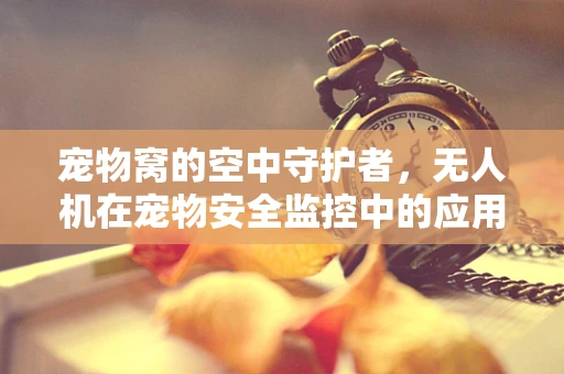 宠物窝的空中守护者，无人机在宠物安全监控中的应用挑战