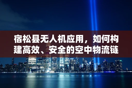 宿松县无人机应用，如何构建高效、安全的空中物流链条？