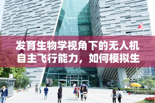 发育生物学视角下的无人机自主飞行能力，如何模拟生物成长机制？