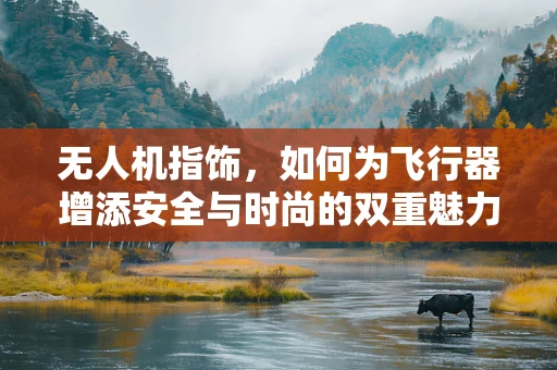 无人机指饰，如何为飞行器增添安全与时尚的双重魅力？