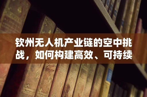 钦州无人机产业链的空中挑战，如何构建高效、可持续的无人机生态系统？