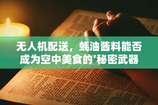 无人机配送，蚝油酱料能否成为空中美食的‘秘密武器’？