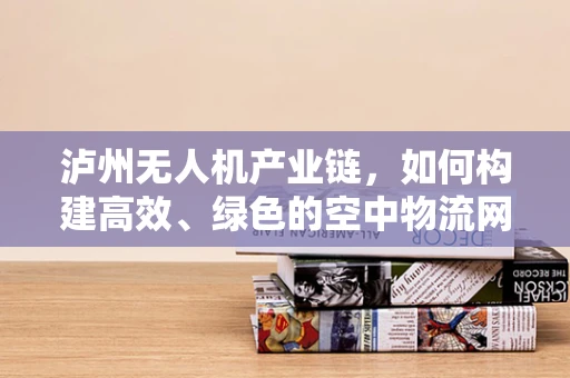 泸州无人机产业链，如何构建高效、绿色的空中物流网络？