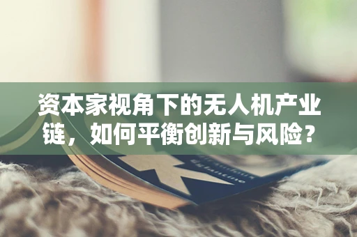 资本家视角下的无人机产业链，如何平衡创新与风险？