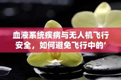 血液系统疾病与无人机飞行安全，如何避免飞行中的‘失血’？