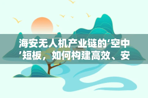 海安无人机产业链的‘空中’短板，如何构建高效、安全的物流配送网络？