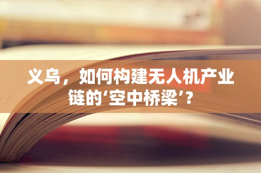 义乌，如何构建无人机产业链的‘空中桥梁’？