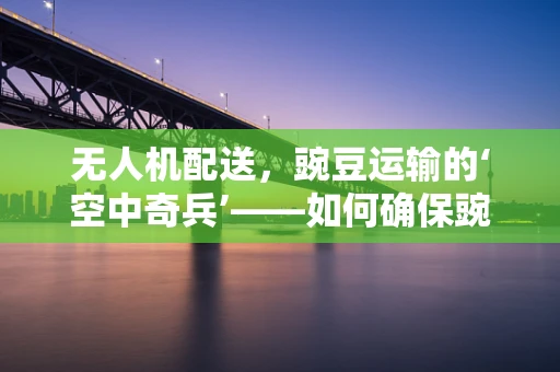 无人机配送，豌豆运输的‘空中奇兵’——如何确保豌豆在飞行中的保鲜与安全？