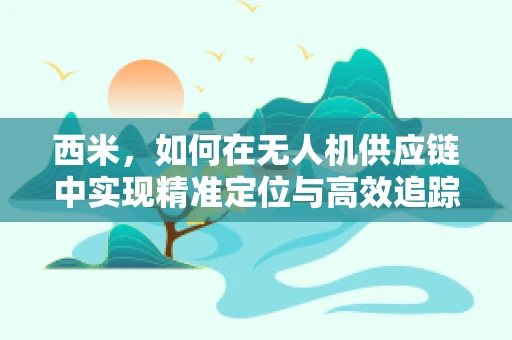 西米，如何在无人机供应链中实现精准定位与高效追踪？