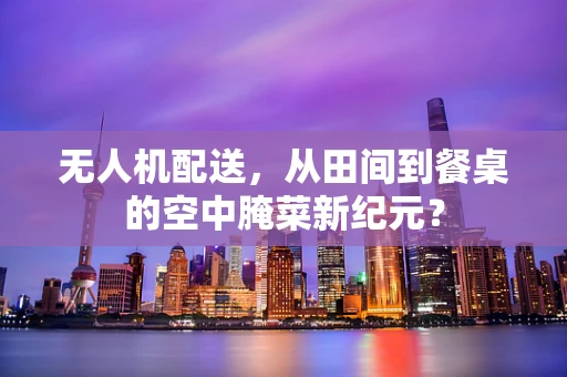 无人机配送，从田间到餐桌的空中腌菜新纪元？