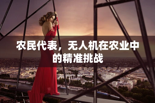 农民代表，无人机在农业中的精准挑战