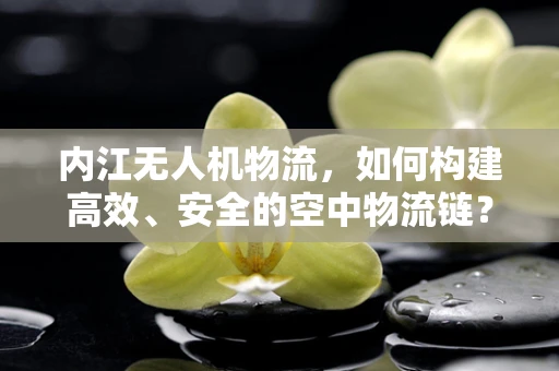 内江无人机物流，如何构建高效、安全的空中物流链？
