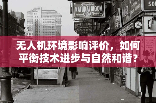 无人机环境影响评价，如何平衡技术进步与自然和谐？