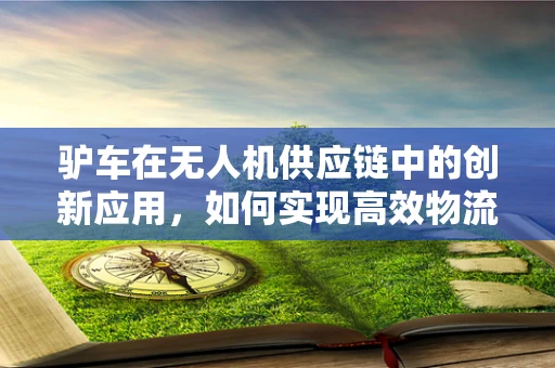 驴车在无人机供应链中的创新应用，如何实现高效物流与环保的双重目标？