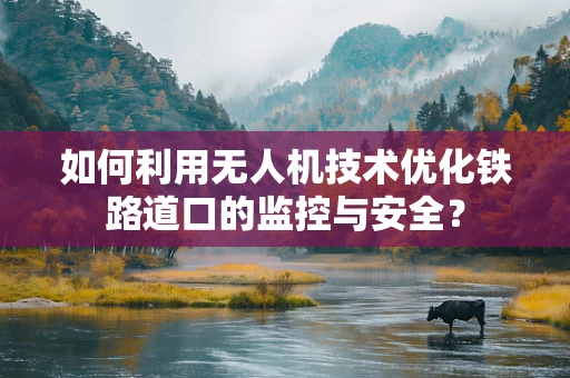 如何利用无人机技术优化铁路道口的监控与安全？