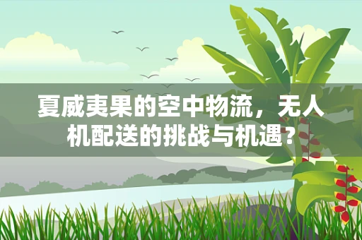 夏威夷果的空中物流，无人机配送的挑战与机遇？