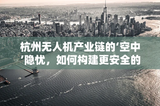 杭州无人机产业链的‘空中’隐忧，如何构建更安全的飞行生态？
