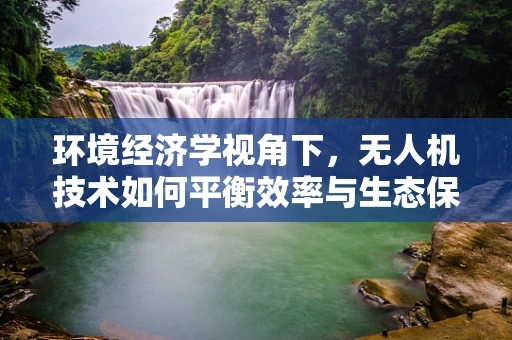 环境经济学视角下，无人机技术如何平衡效率与生态保护？