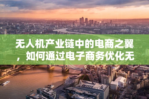 无人机产业链中的电商之翼，如何通过电子商务优化无人机供应链管理？