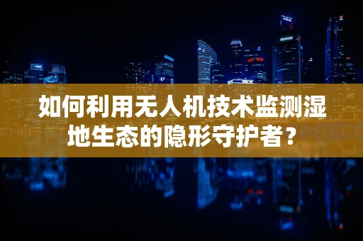 如何利用无人机技术监测湿地生态的隐形守护者？