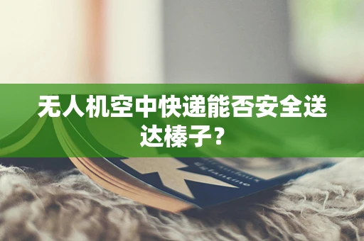 无人机空中快递能否安全送达榛子？