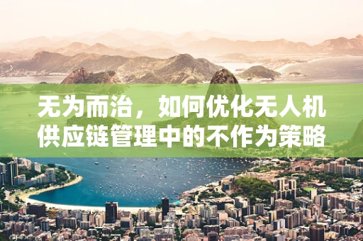无为而治，如何优化无人机供应链管理中的不作为策略？