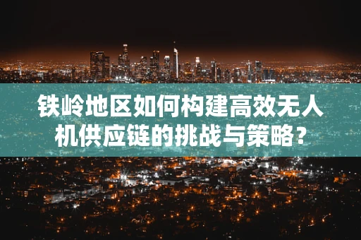 铁岭地区如何构建高效无人机供应链的挑战与策略？
