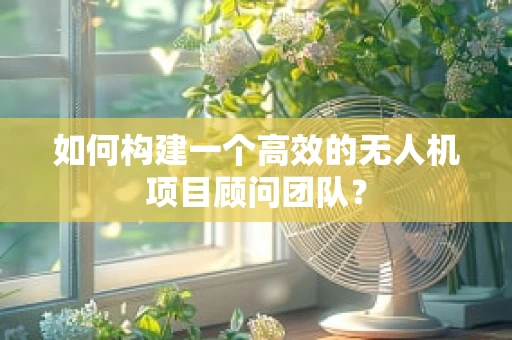 如何构建一个高效的无人机项目顾问团队？