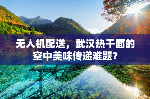 无人机配送，武汉热干面的空中美味传递难题？