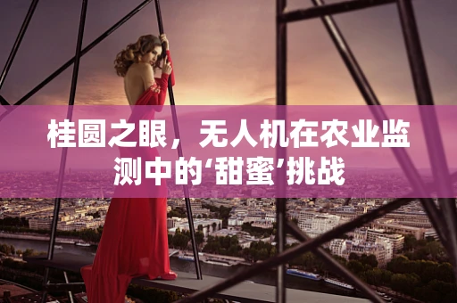 桂圆之眼，无人机在农业监测中的‘甜蜜’挑战