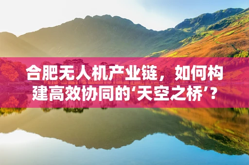 合肥无人机产业链，如何构建高效协同的‘天空之桥’？